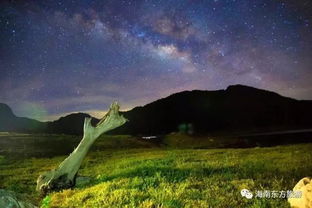 东方俄贤岭自驾露营BBQ攻略 探秘幽兰谷，沉醉珠兰花海