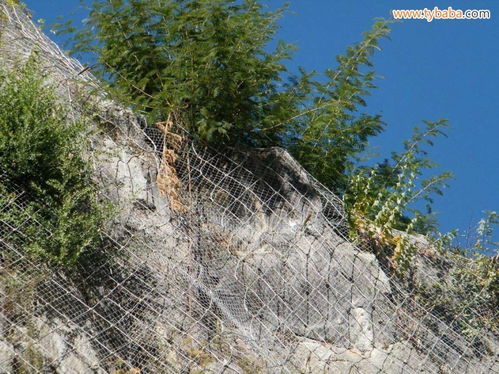 蜘蛛网、主动防护网与金属制品网 构建安全的现代防护体系